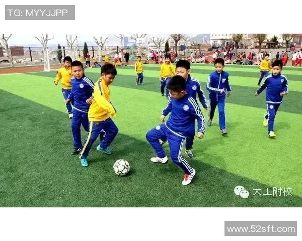 足球老朋友重聚畅谈岁月共赏绿茵场上的激情与梦想